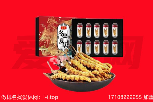 红河金平县回收虫草.jpg