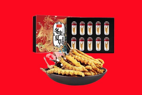 红河金平县回收虫草.jpg